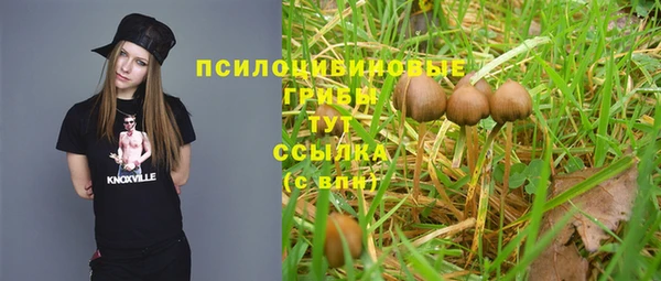хмурый Алексеевка