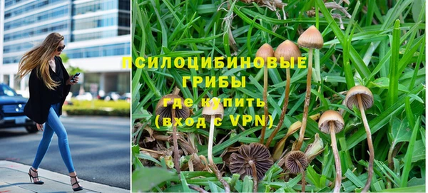 винт Алзамай
