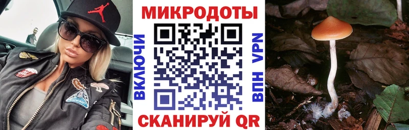 Галлюциногенные грибы ЛСД  Сосенский 